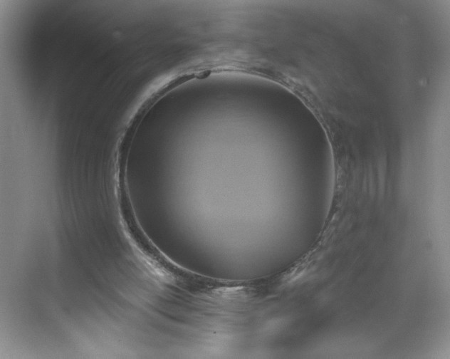 X0000070420054200606161448