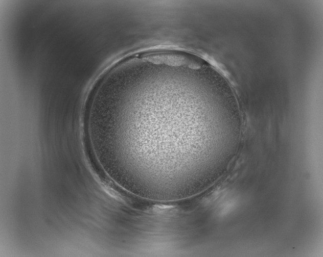 X0000070420055200606161448