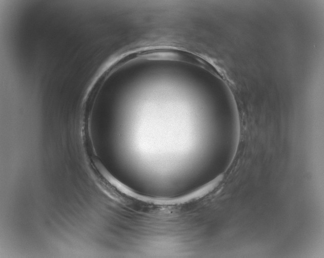 X0000070420056200606161448