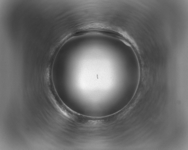 X0000070420057200606161448