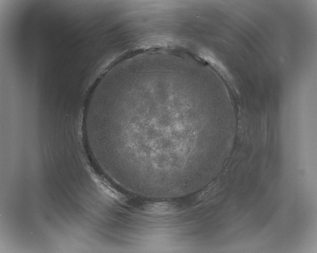 X0000070420058200606161448