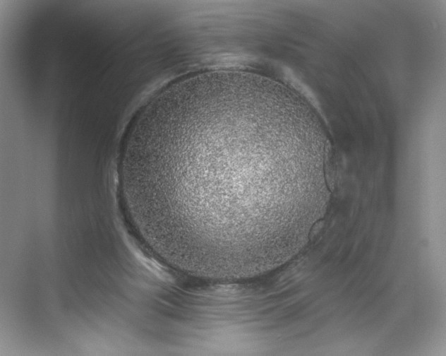 X0000070420059200606161448