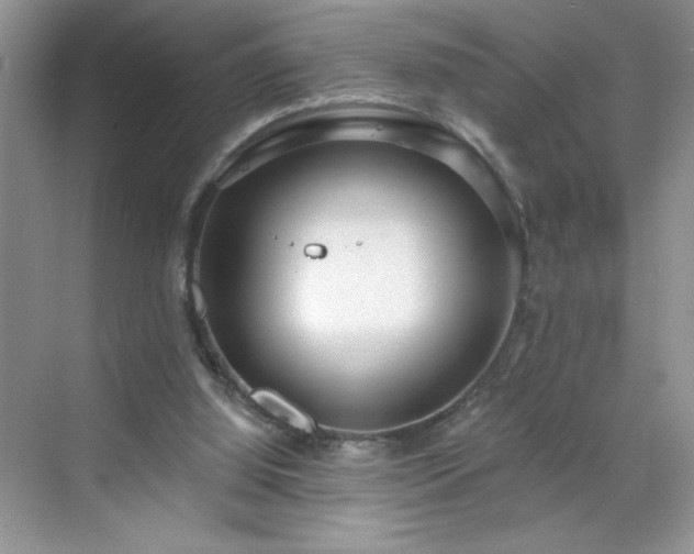 X0000070420060200606161448