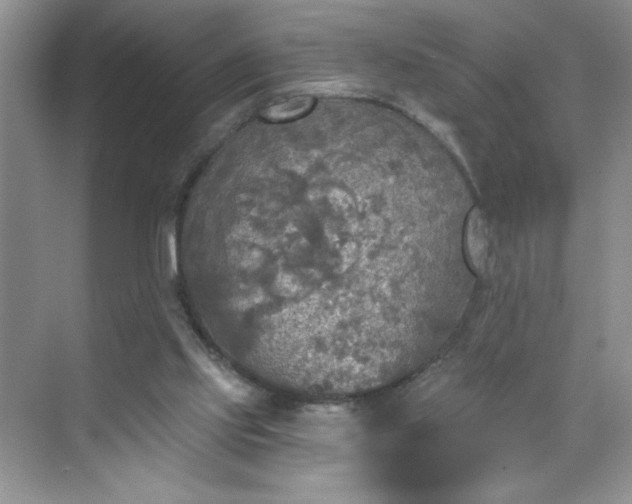 X0000070420061200606161449