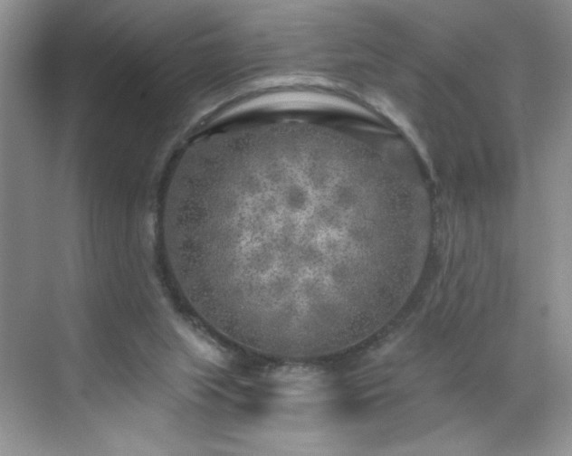 X0000070420063200606161449