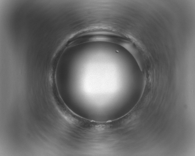 X0000070420064200606161449