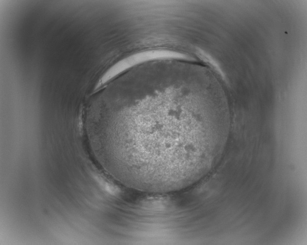 X0000070420065200606161449