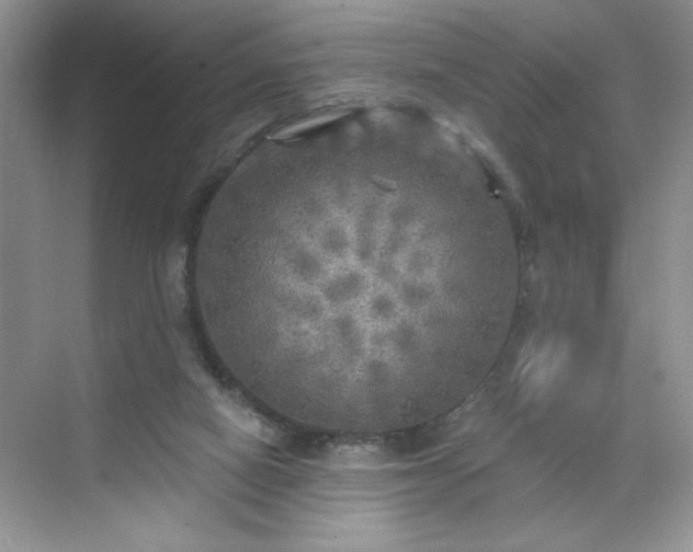 X0000070420066200606161449