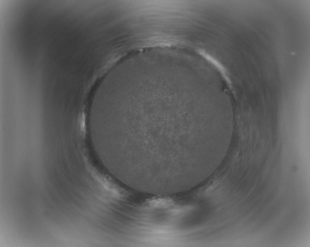 X0000070420067200606161449