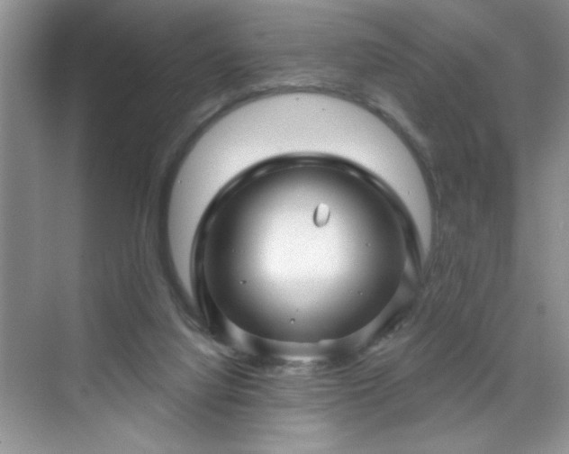 X0000070420068200606161449