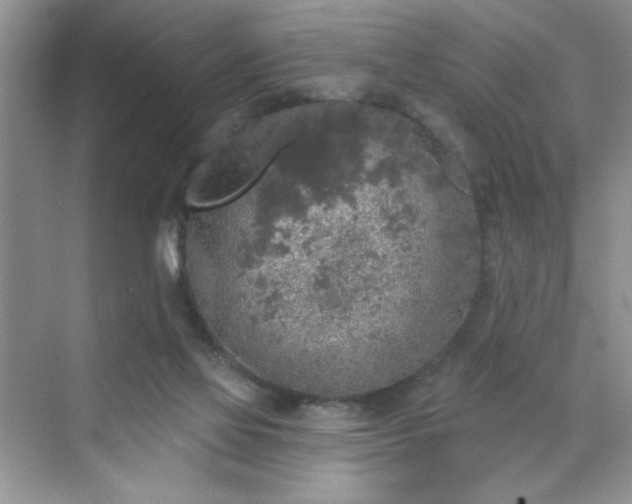 X0000070420069200606161449