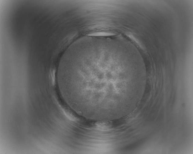 X0000070420070200606161449