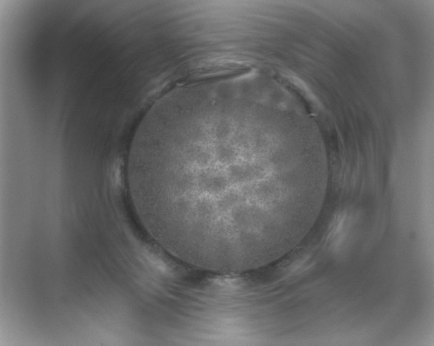 X0000070420071200606161449