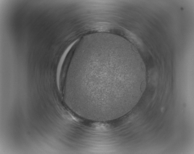 X0000070420073200606161449