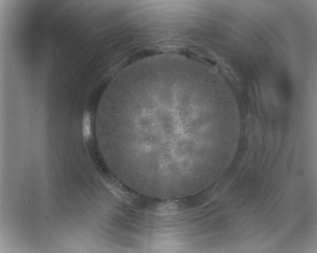 X0000070420075200606161449