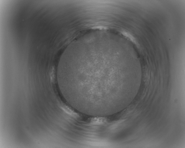 X0000070420077200606161449