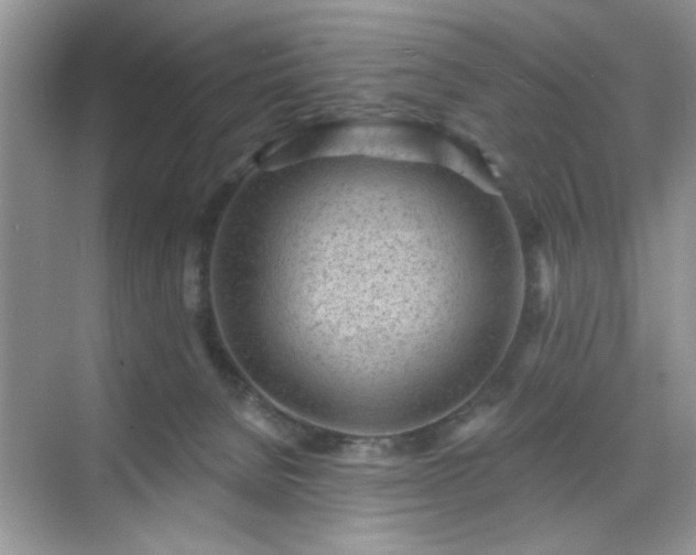 X0000070420080200606161449