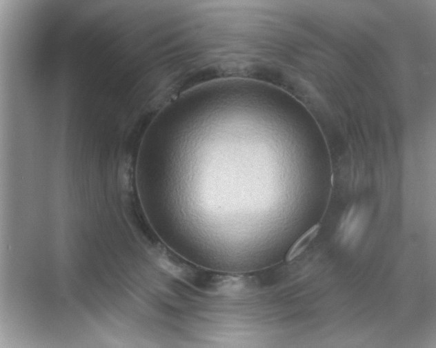 X0000070420083200606161449