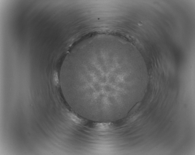 X0000070420089200606161449