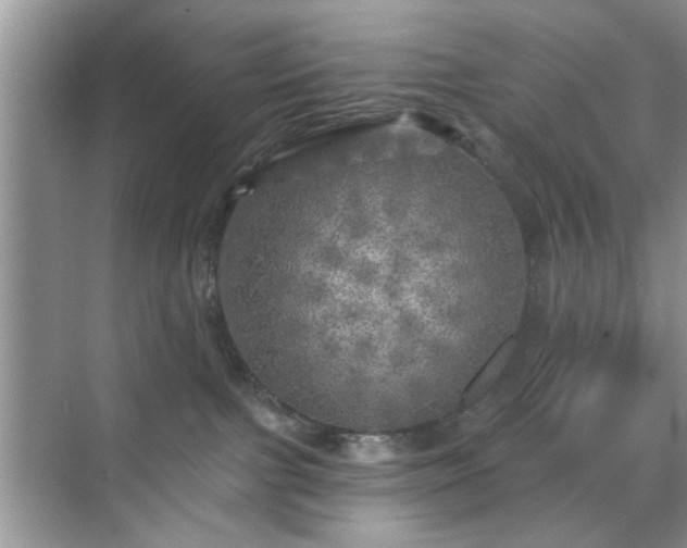 X0000070420091200606161449