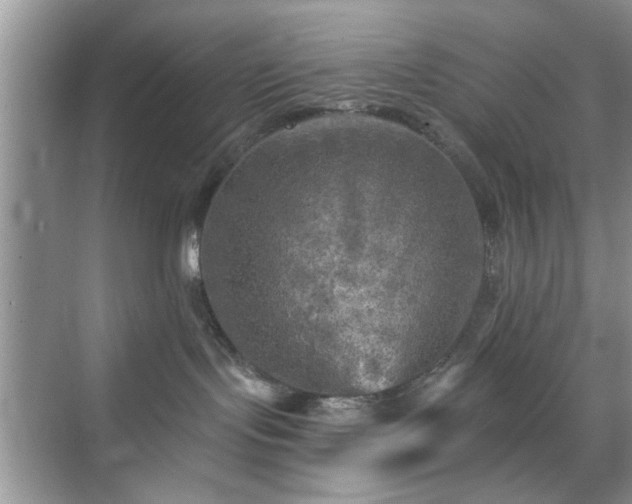 X0000070420095200606161449