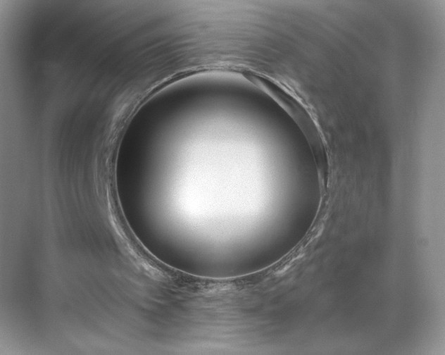 X0000070420097200606161448