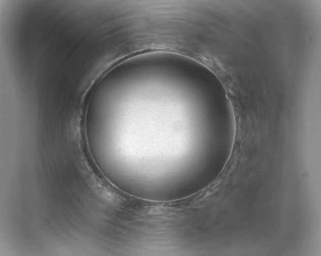 X0000070420098200606161448