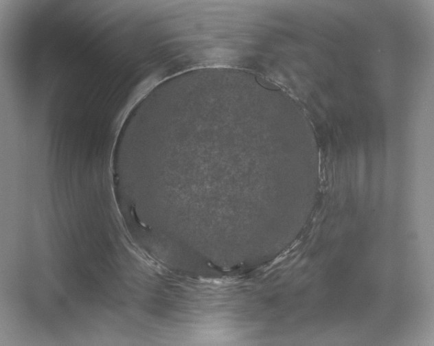 X0000070420099200606161448