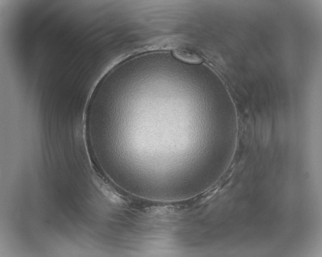 X0000070420100200606161448