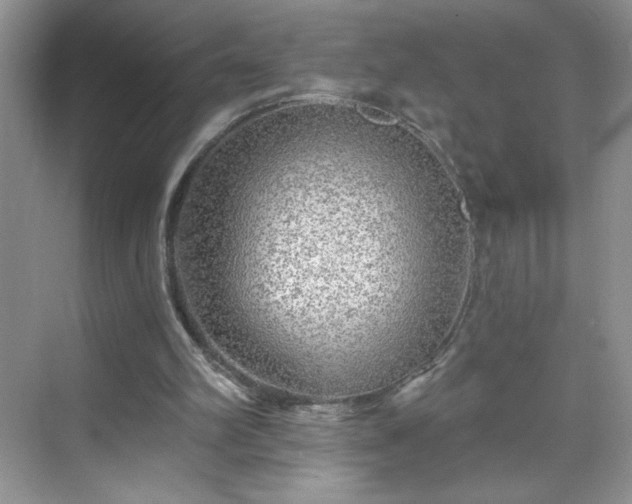 X0000070420102200606161448