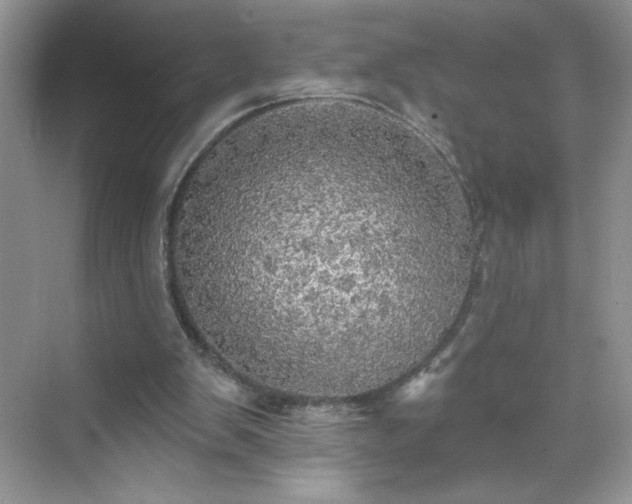 X0000070420103200606161448