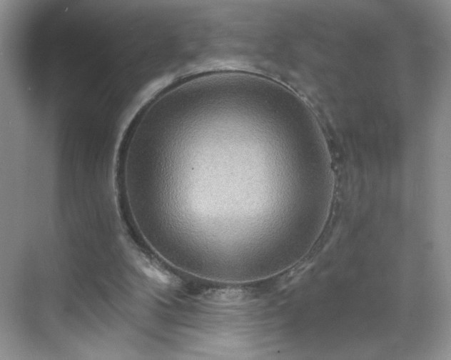 X0000070420104200606161448