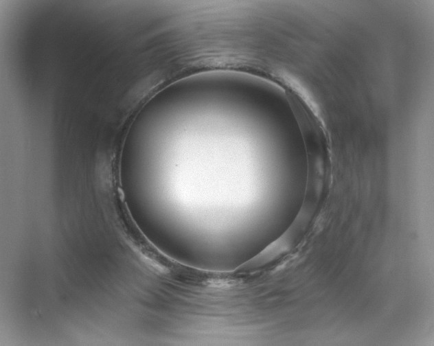 X0000070420105200606161448