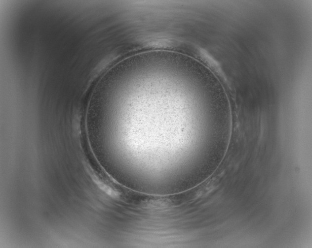 X0000070420106200606161448