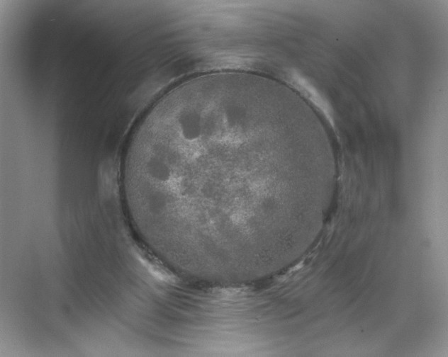 X0000070420107200606161448