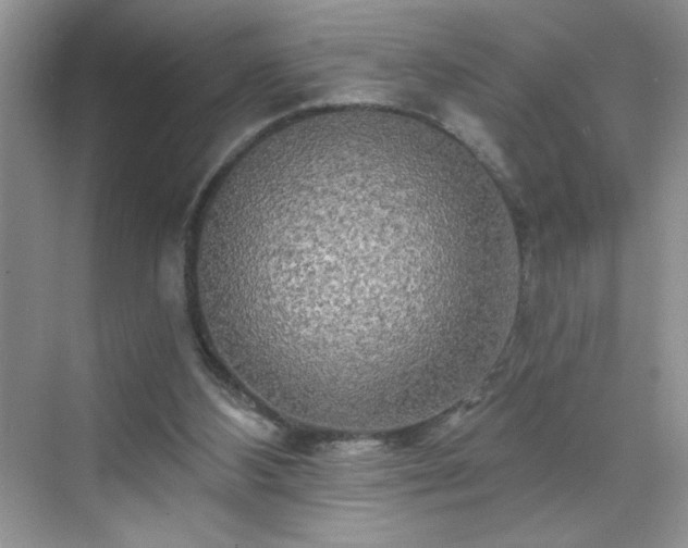 X0000070420108200606161448