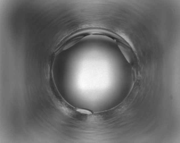 X0000070420109200606161448