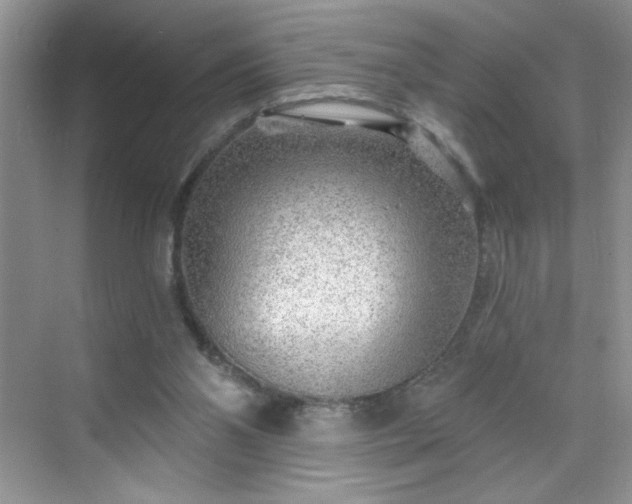 X0000070420110200606161448