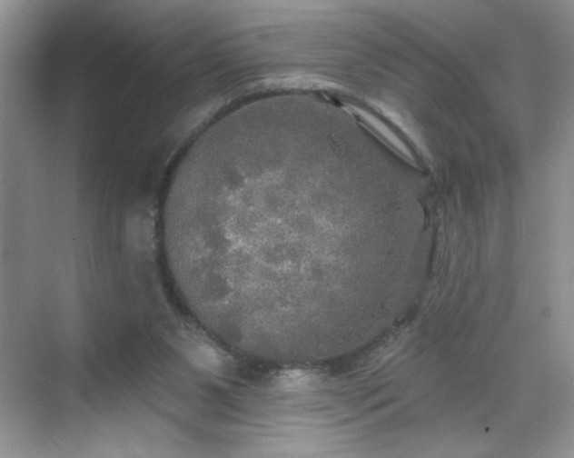 X0000070420111200606161448