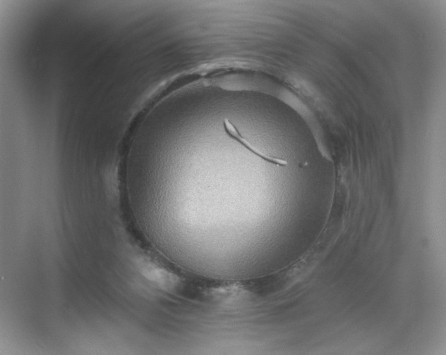 X0000070420112200606161448