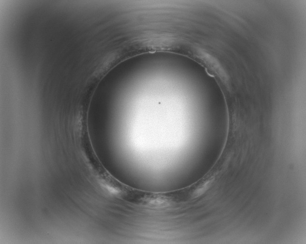 X0000070420113200606161448