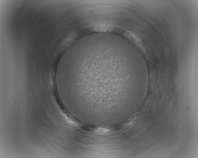 X0000070420114200606161448