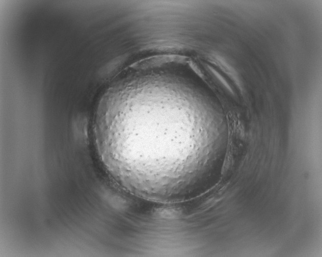 X0000070420115200606161448