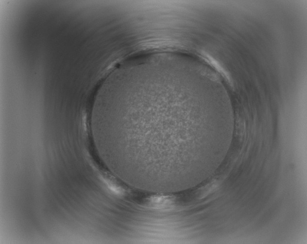 X0000070420117200606161448