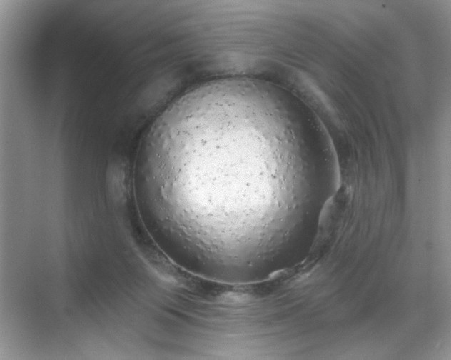 X0000070420119200606161448