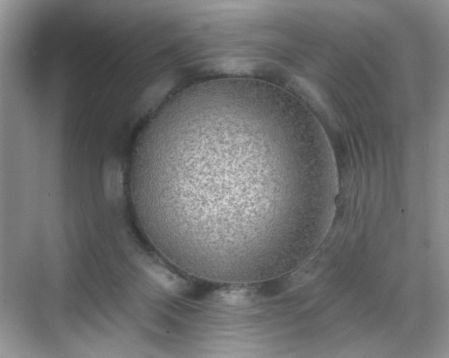 X0000070420120200606161448