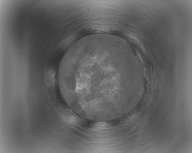 X0000070420123200606161448