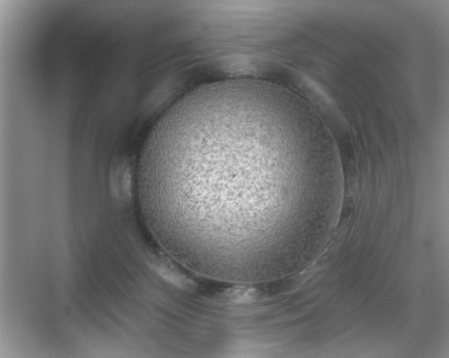 X0000070420124200606161448