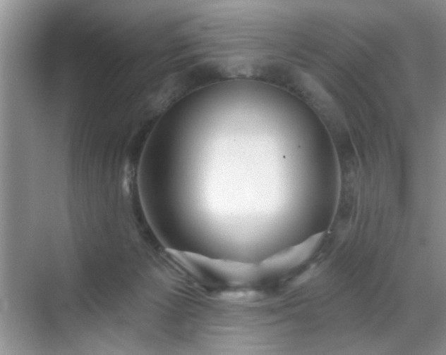 X0000070420125200606161448