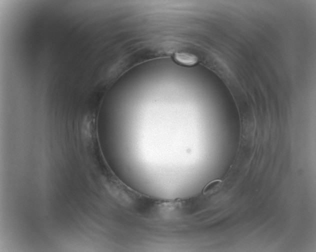 X0000070420126200606161448